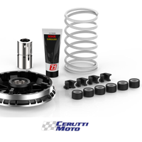 Variatore Malossi multivar Bmw c 400 X - GT