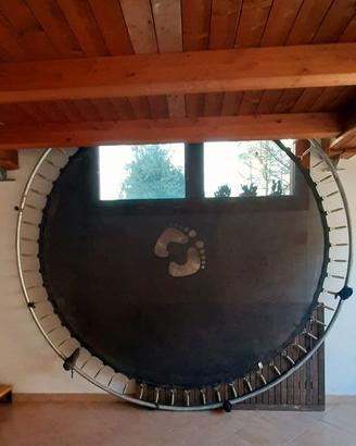 Trampolino kangui