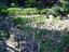 Immagine 26