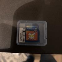 Scheda memoria tipo Sd 256 mb