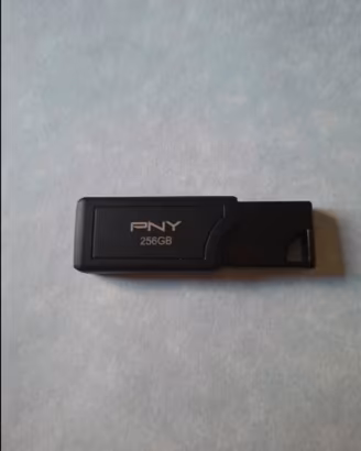 chiavetta usb Pni Pro Elite V3 256 gb