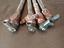 Immagine 3