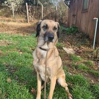 Perla aspetta la sua famiglia