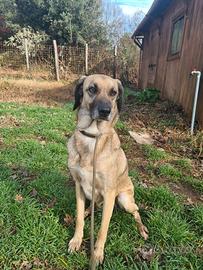 Perla aspetta la sua famiglia