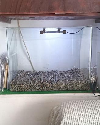 Acquario da 60 litri