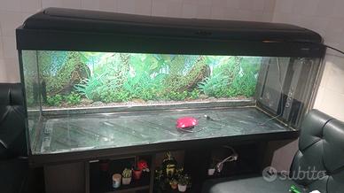 acquario 300 litri