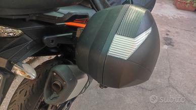 borse laterali per moto Shad SH36