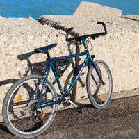 Mountain Bike Giant