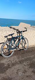 Mountain Bike Giant