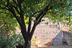 Indipendente con giardino-garage 49-396