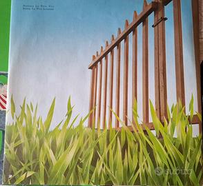 vinile 33 angelo branduardi