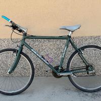 Mountain bike invicta