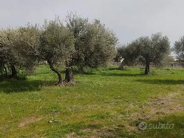 Terreno in Via Etiopia