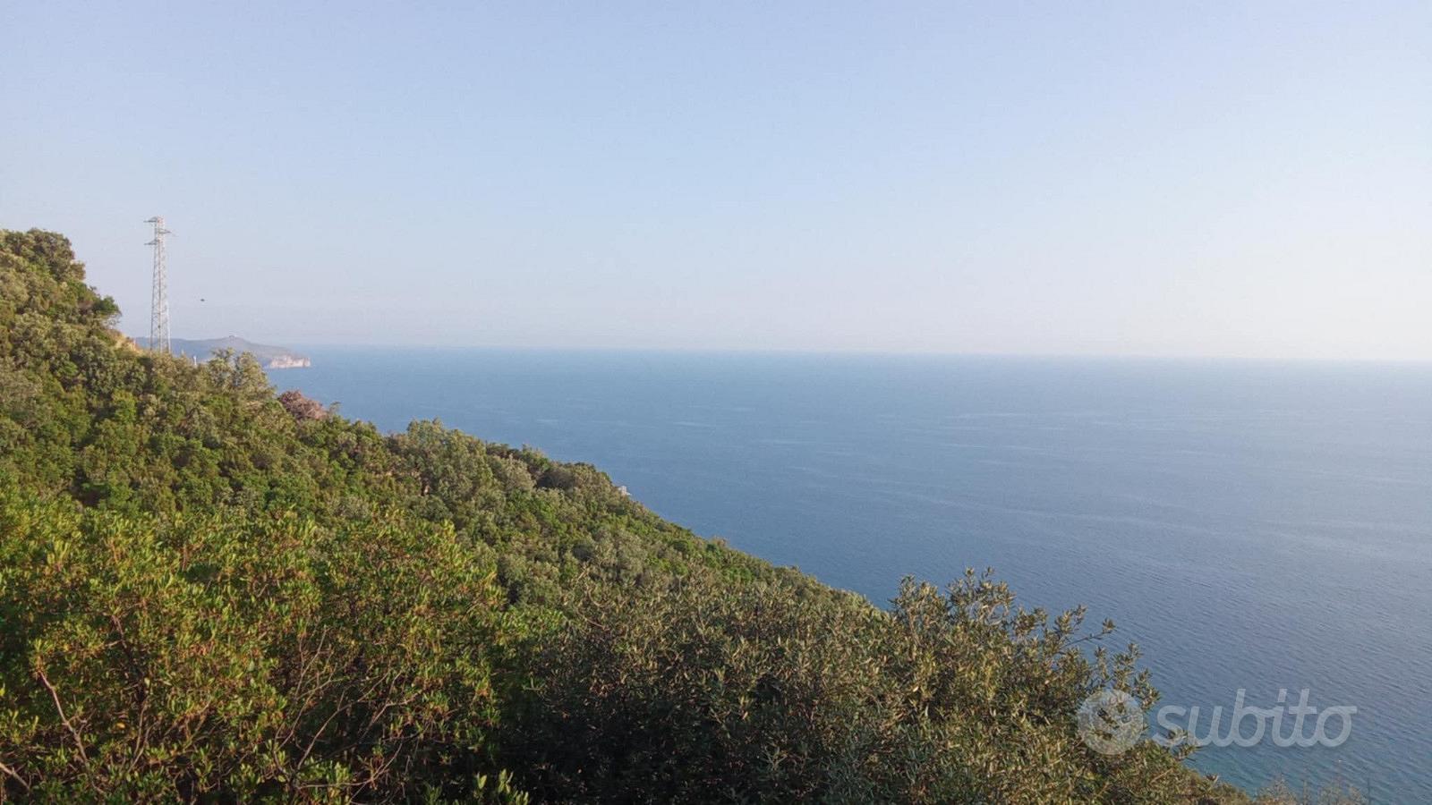Terreno di quasi un ettaro panoramico cn ruderino - Vista 2
