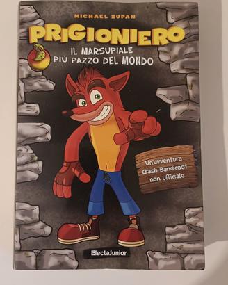 PRIGIONIERO