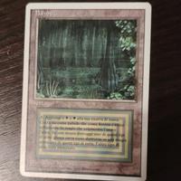 carta magic bayou  ita. near mint