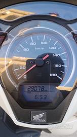 Scooter sh sport