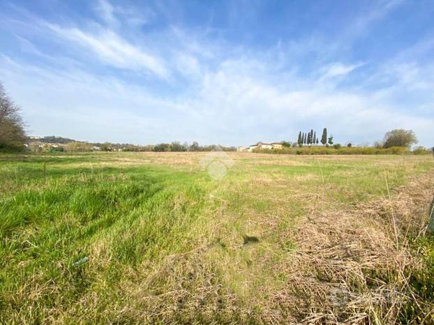 TER. AGRICOLO A VOLTA MANTOVANA