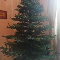 albero di natale