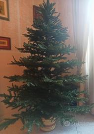 albero di natale