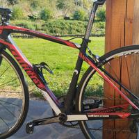 BDC Wilier Triestina GTR team