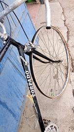Bicicletta in ottime