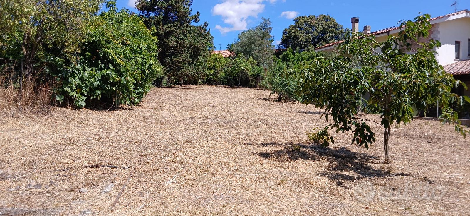 Terreno e casa due livelli - Altro
