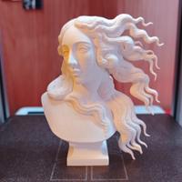Mezzo busto Venere – Stampa 3D decorativa