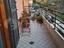 Immagine 14