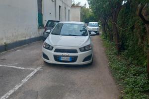 tenuta in buone condizioni adatta anche per I neop