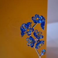 fiore non ti scordar di me 