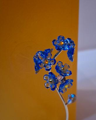 fiore non ti scordar di me 