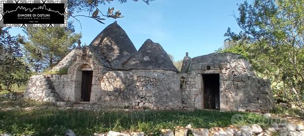 TRULLI REGINA con 2Ha DI TERRENO - VALLE D'ITRIA