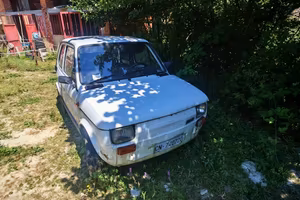 126 bis