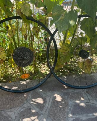 Coppia di ruote gravel complete
