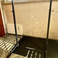 Struttura Professionale per Trazioni e Allenamento