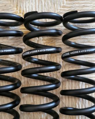 Molle ammortizzatore OHLINS e ROCK SHOX DH DOWNHIL