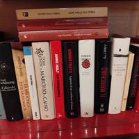 Lotto 22 libri thriller, narrativa e classici 