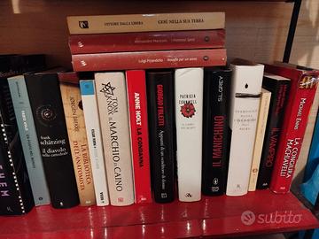 Lotto 22 libri thriller, narrativa e classici 