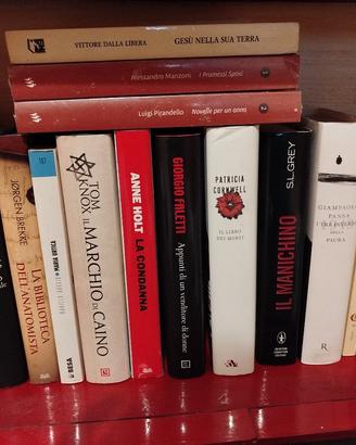 Lotto 22 libri thriller, narrativa e classici 