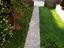 Immagine 24
