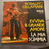 45 giri rosalino cellamare