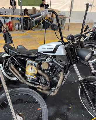 Sportster Chopper