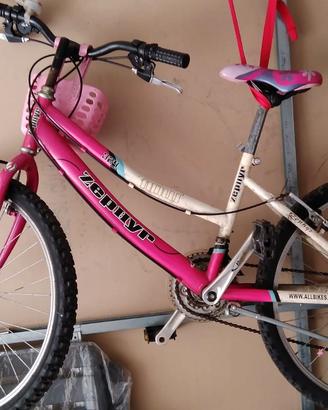 Mountain bike bambina 