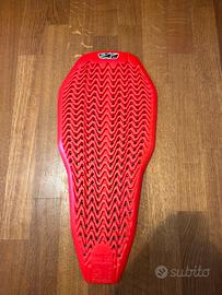 Paraschiena alpinestars nucleon plasma
