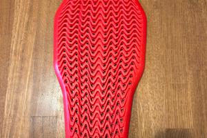 Paraschiena alpinestars nucleon plasma