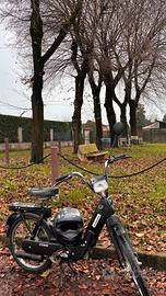 CIAO PX CONSERVATO