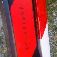 Bicicletta elettrica