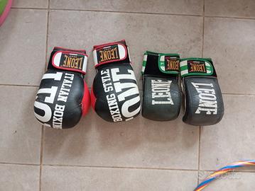 guantoni da boxe