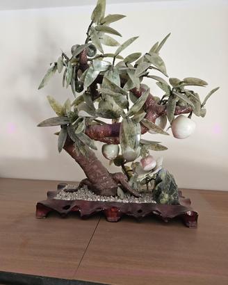 Albero di Giada